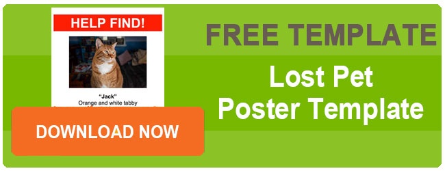 DOWNLOAD THIS FREE LOST CAT POSTER TEMPLATE