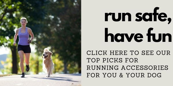 accessories for running with your dog