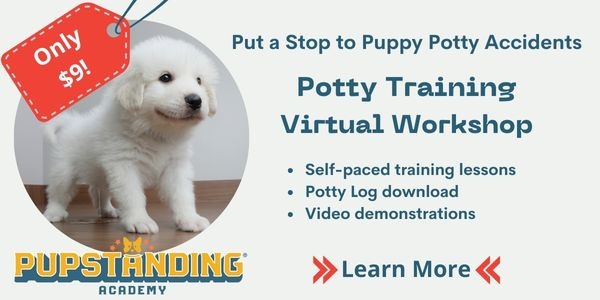 puppy potty training virtual workshop $9