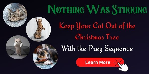 keep cat out of tree with the prey sequence