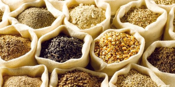 bags of grain that are not used in grain free dog food