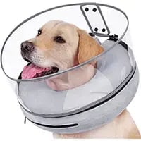 Barkless Inflatable Dog Cone with shield