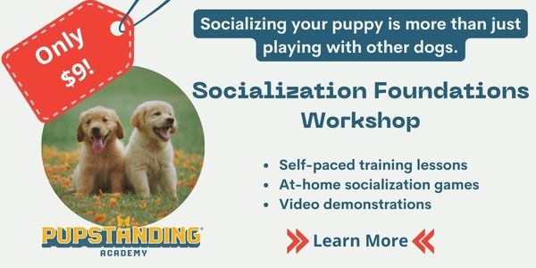puppy socialization virtual workshop $9