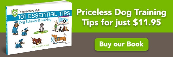 101 Dog Behavior and Training Tips Book