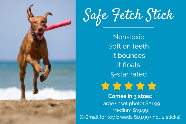 Best Fetch Stick
