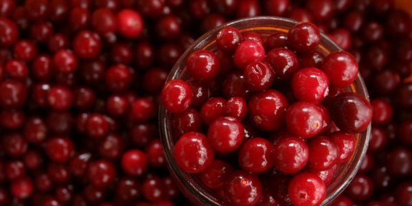 bowl of fresh cranberries that are good for urinary health