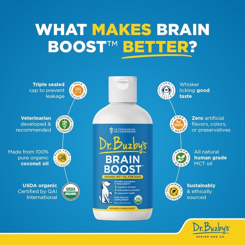 BrainBoost Dr. Buzby Product Features-1