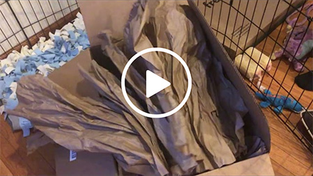 cardboard and packing paper game