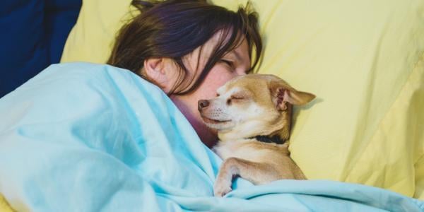 is it okay if my dog sleeps in bed with me