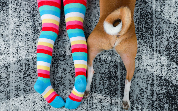 child and dog lying on carpet
