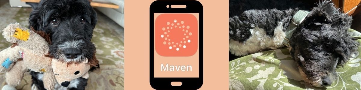 Clover wearing maven tracker-3-PV