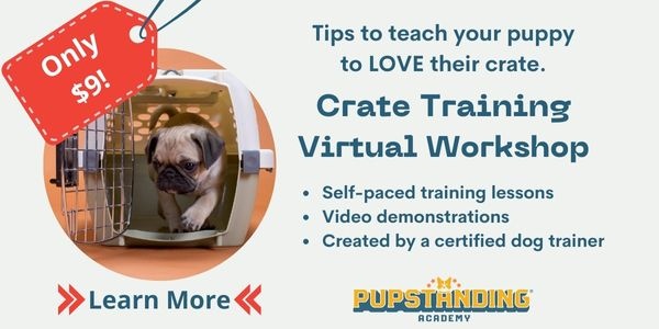 crate training virtual dog training $9