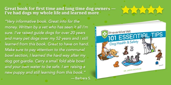 What you need to know when you get a dog