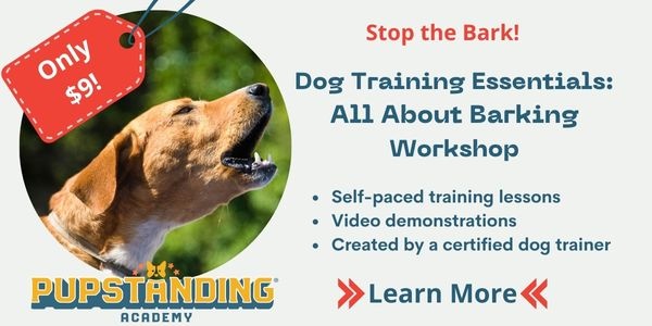 dog training essentials barking virtual workshop $9