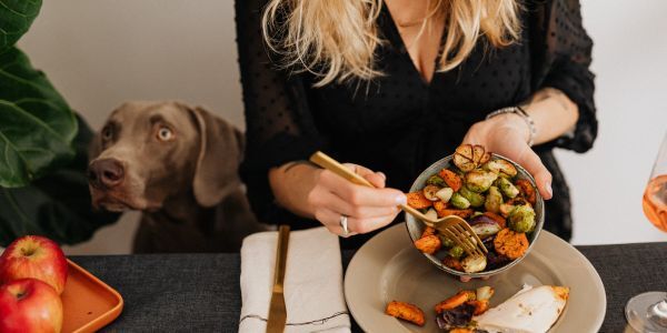 guest at the dinner table with dog looking closely