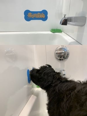Finnegan the Portuguese Water Dog licking peanut butter from a lick mat in the bathtub