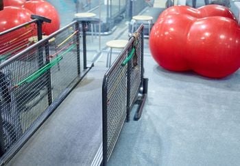 dog treadmill with balance balls in the background