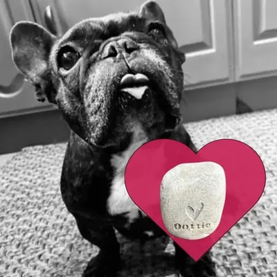 Dottie French bulldog memory stone