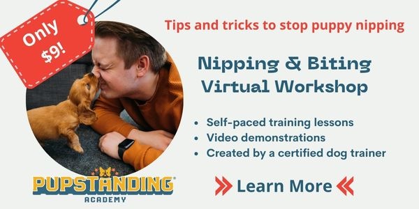 puppy nipping online workshop $9