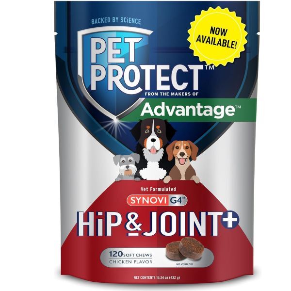 Synovi joint supplement for dogs