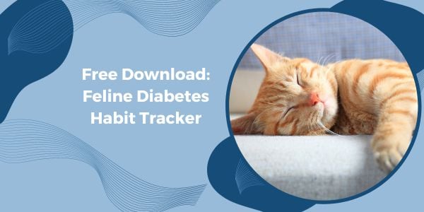 Feline Diabetes Habit Tracker