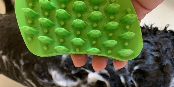 furbliss brush used for dog bath-PV