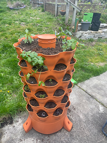 garden tower for critter and pet control - mia early stages