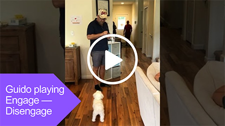 Guido playing engage disengage