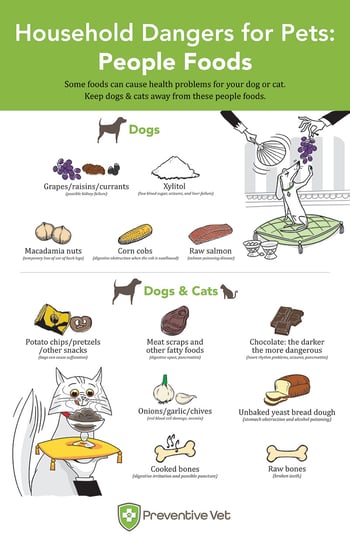 Household Hazards People Food