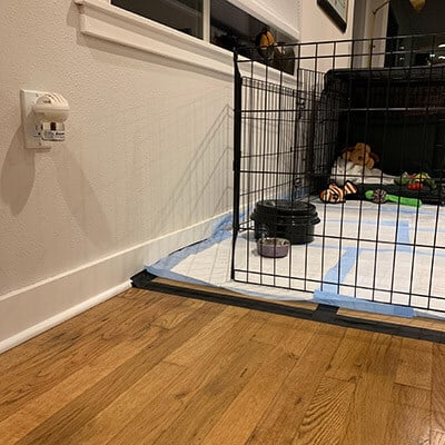 ThunderEase Plug-in example outside of puppy pen area