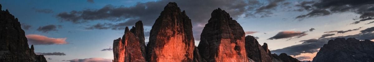 immunity booster essential oils