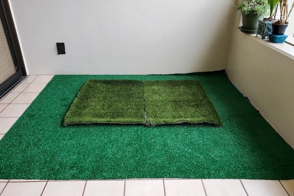 indoor dog potty area