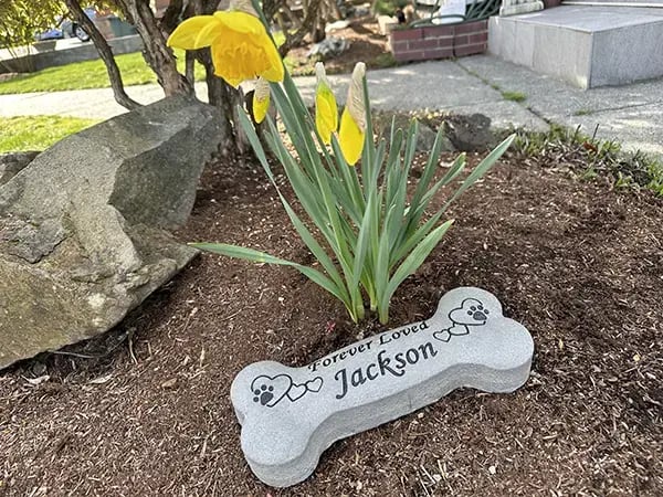 Jackson bone-shaped memorial stone