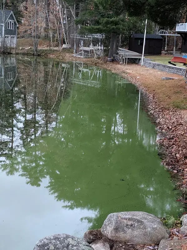 Jon Samuelson Province Lake NH 20171116_073326