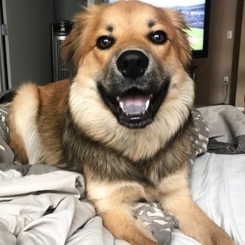 lando-contest-winner