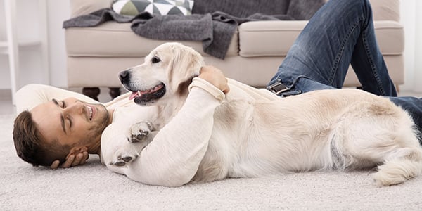 man cuddling with golden retriever on floor