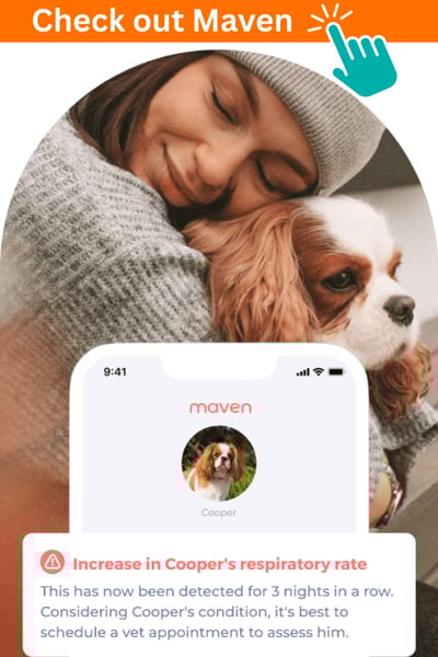 Maven pet health tracker product 600x900