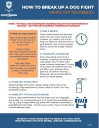 How to break up a dog fight flyer