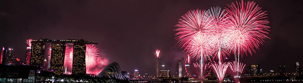 pet fireworks anxiety and safety resources