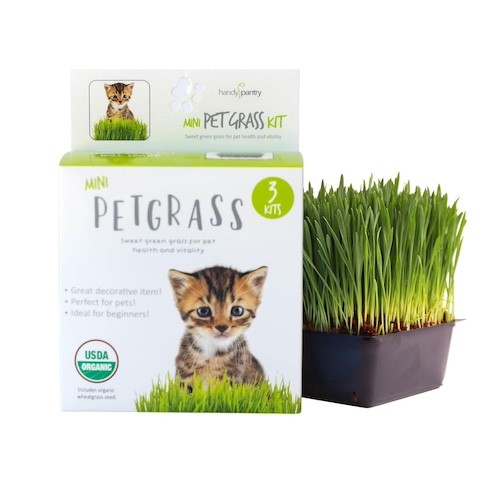 Pet Grass