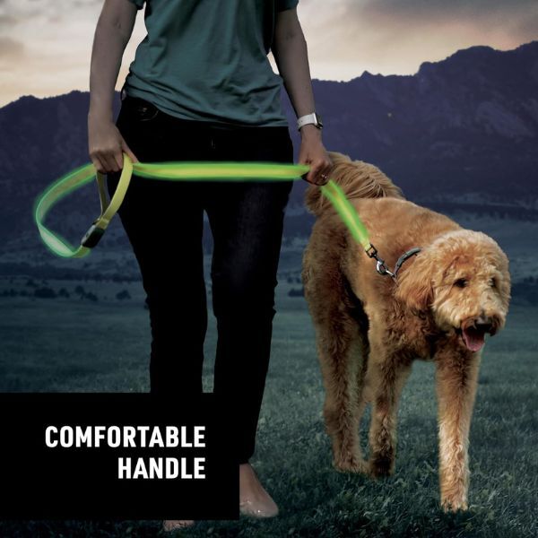 Nite Ize LED light up dog leash