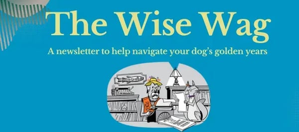 sign up for the wise wag newsletter)