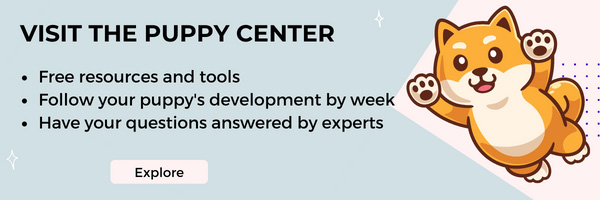 Visit the Puppy Center