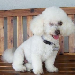 winnie-contest-winner