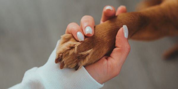 woman with painted nails holding a dogs paw