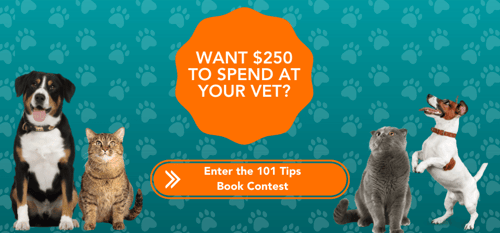 101 tips contest enter