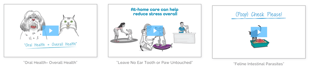 101 Tips Veteos Videos