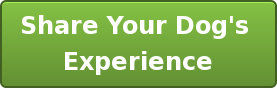 Share Your Dog's  Experience