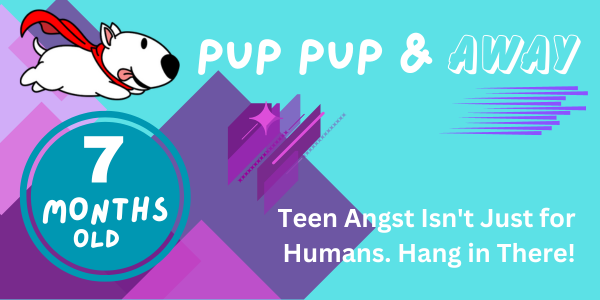 29-30 week old puppy