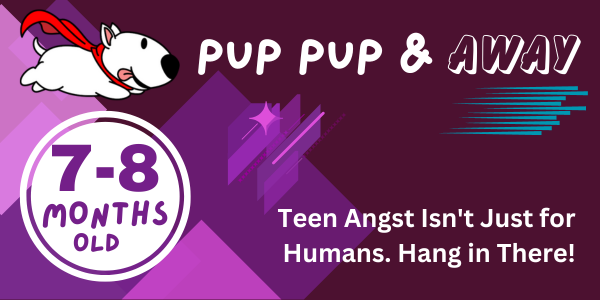 31-32 week old puppy